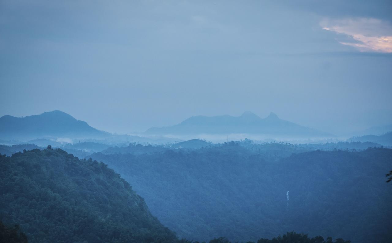 After The Rains - Rainforest Lodge Meppādi Esterno foto